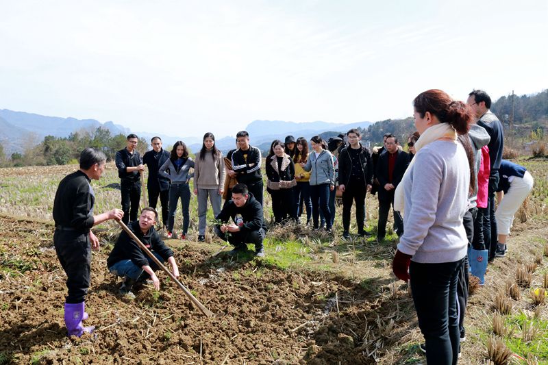 1552640328415870.jpg 4.jpg