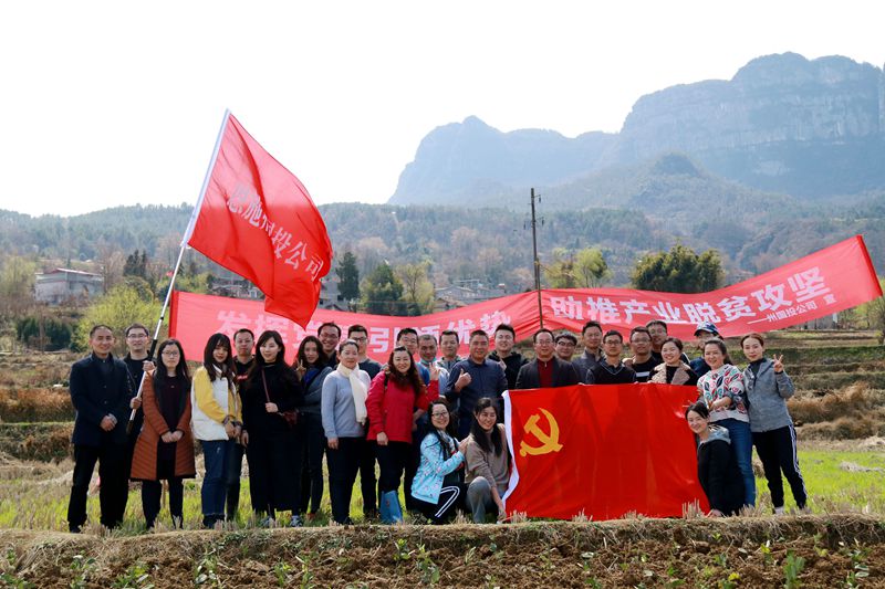 1552640545930939.jpg 1.jpg