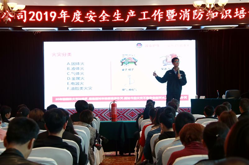 1555482665899751.jpg 5.jpg