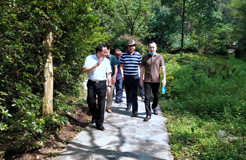 州國投公司加強重點領(lǐng)域汛期安全生產(chǎn)工作風(fēng)險隱患排查