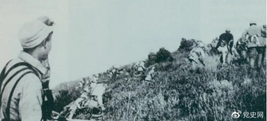 1631607049645235.png image.png