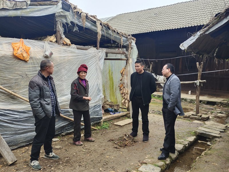 1637543385489825.jpg 2.jpg