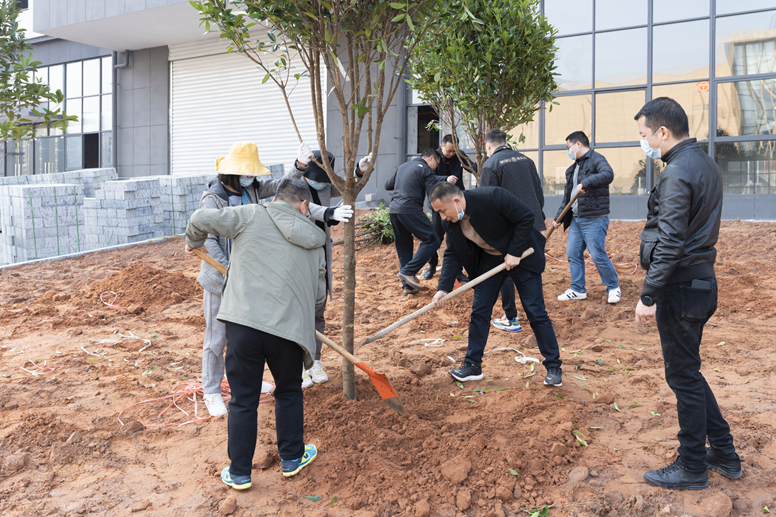 1646987046852956.png image.png