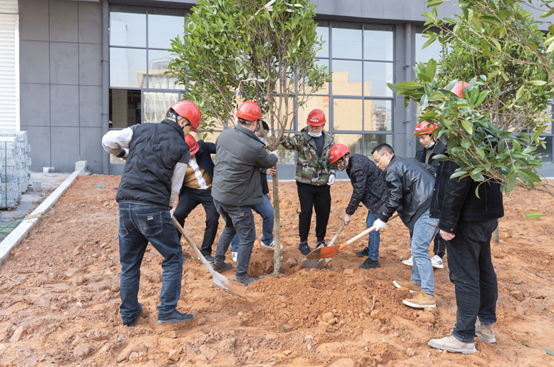 1646987062527518.png image.png