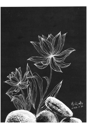 1657254468476818.jpg 1-17.jpg