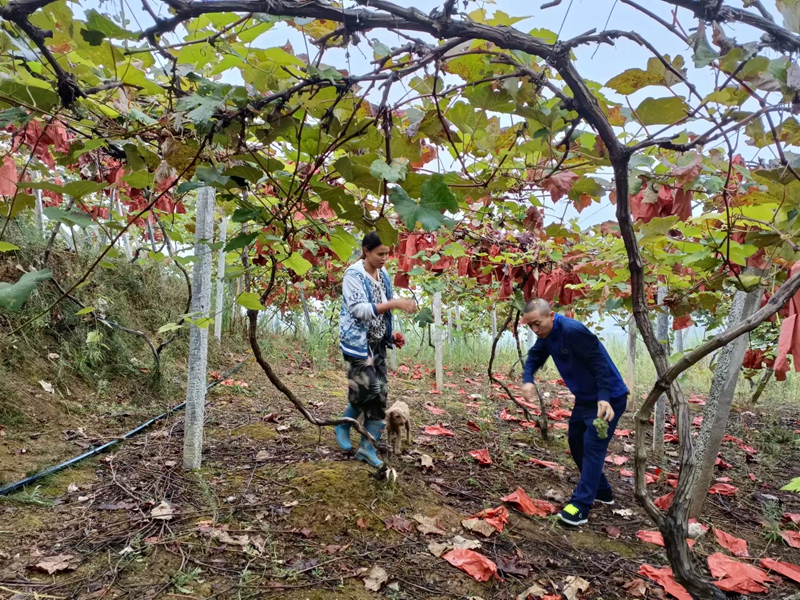 1662448630406557.jpg f86655b75db8f471d46dcf7b57e72ca_副本.jpg