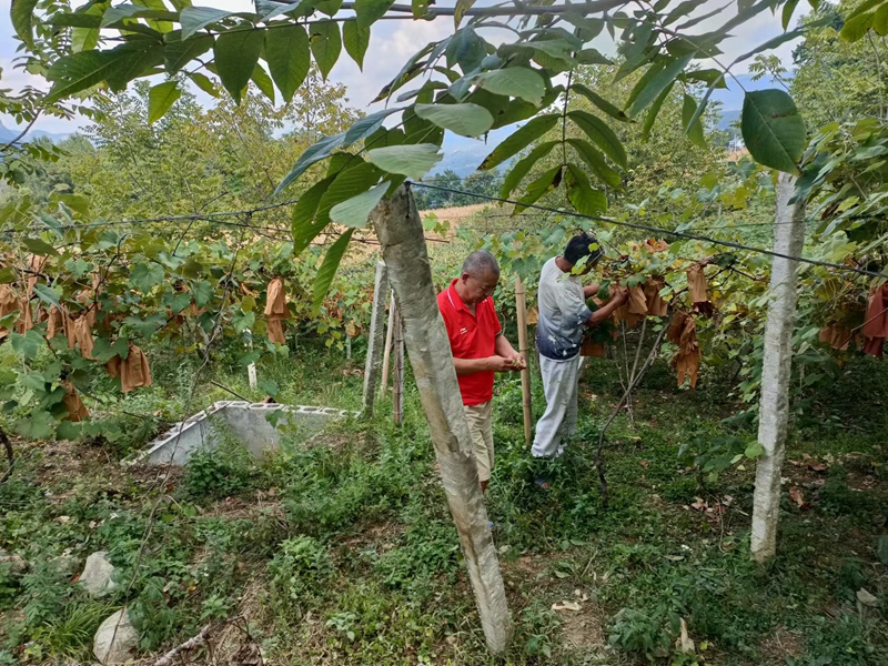 1662448638462614.jpg 9f15c7dd838afe51b294ea9b05a99d8_副本.jpg