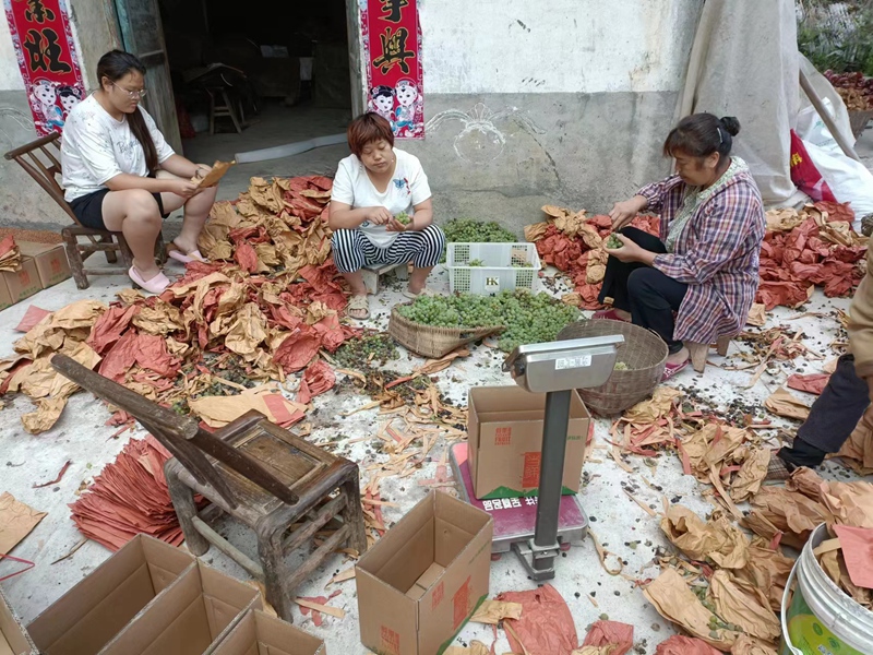 1662448661962068.jpg d65a6318fce77fab30366b863b19432_副本.jpg