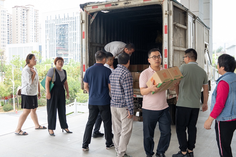 1662448681888127.jpg 2132132_副本.jpg