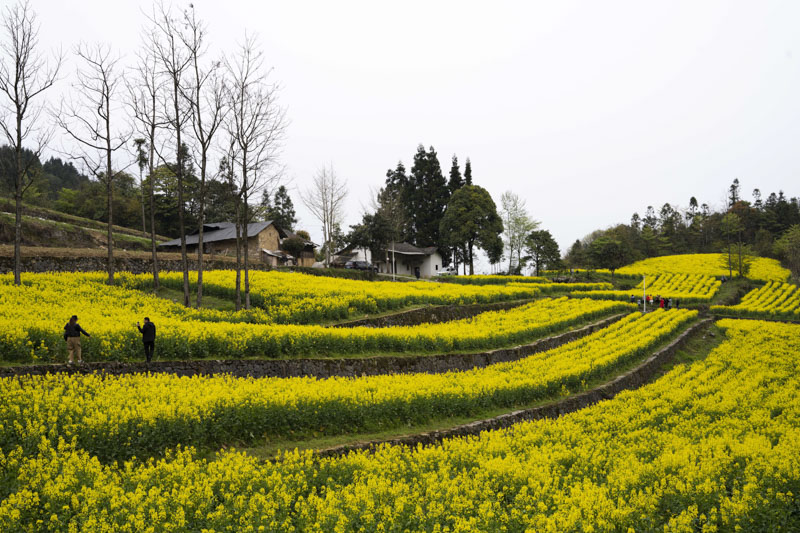 1675902562725906.jpg 2.jpg