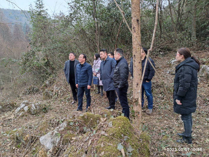 集團(tuán)公司總經(jīng)理鄧亞敏率隊考察望城坡文旅資源