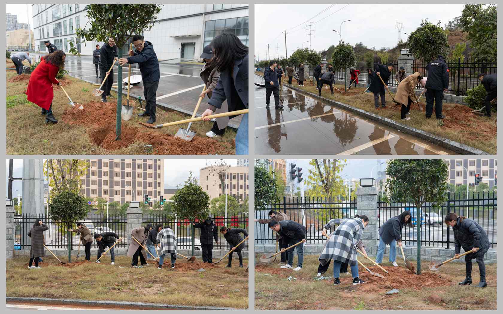 1678702807795329.jpg 1678702807795329.jpg