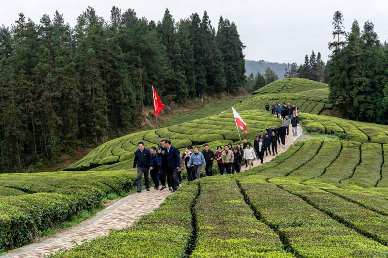 1681113302817279.jpg 2-6.jpg