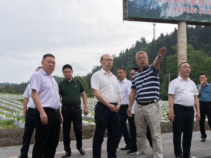 1685579324904496.jpg 1685579324904496.jpg