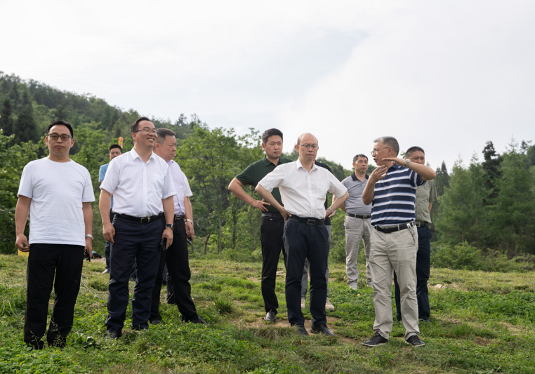 1685579336164799.jpg 3.jpg