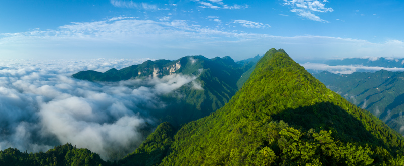 1695084987416165.jpg 1695084987416165.jpg